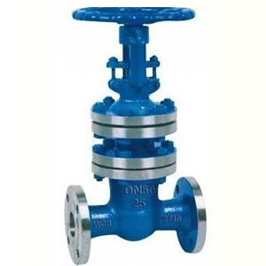 bellows gate valve