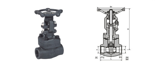 Forged Steel Gate Valves